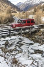 Mercedes-Benz G350 d AMG Line 2019 года (WW)